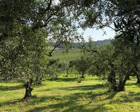 Agriturismo La Torre Dell'Oliveto Agello Exterior foto