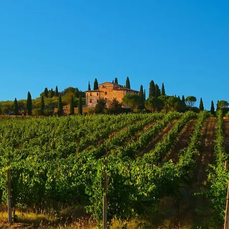 Agriturismo La Torre Dell'Oliveto Agello Exterior foto