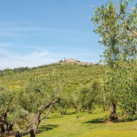 Agriturismo La Torre Dell'Oliveto Agello Exterior foto