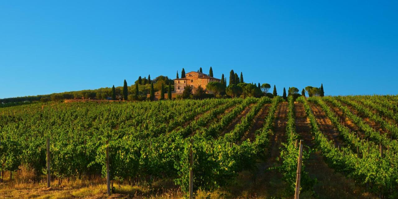 La Torre Dell'oliveto Agello