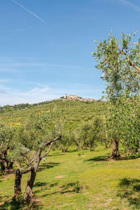 La Torre Dell'oliveto Apartment